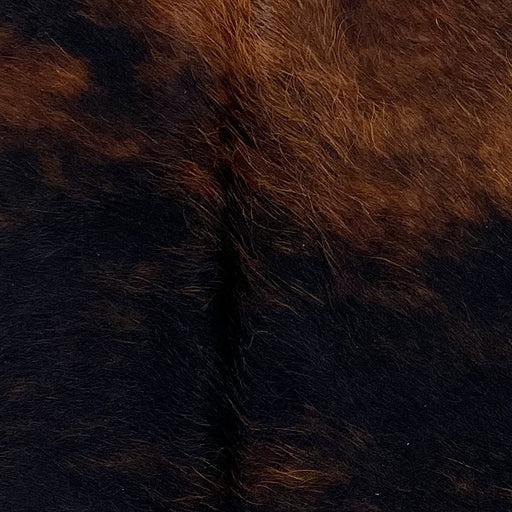 Closeup of this Tricolor Mini Cowhide, showing a mix of brown and black (MINI296)