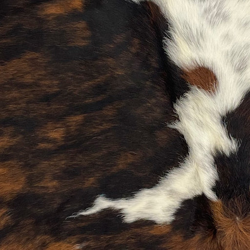 XS Tricolor Cowhide, showing a black and brown, brindle pattern, and one large white spot that has faint, black speckles in it (XS222)