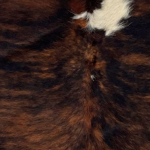 Closeup of this XS, Brindle Cowhide, showing black and brown, and one of two white spots in the middle of the shoulder (XS269)