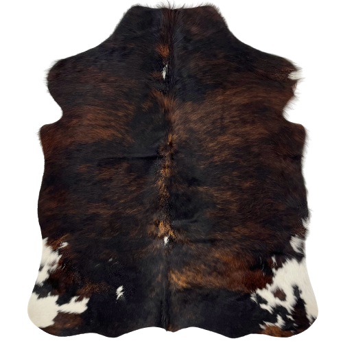 XS Black and Brown Brindle Cowhide:  with two small, white spots on the spine, and larger white spots on the hind shanks - 4'5" x 3'6" (XS272)