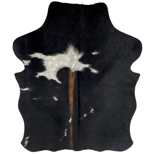 XS Black and White Cowhide:  black, with one large, and a few small, white spots, and it has brown down the spine - 4'5" x 3'4" (XS312)