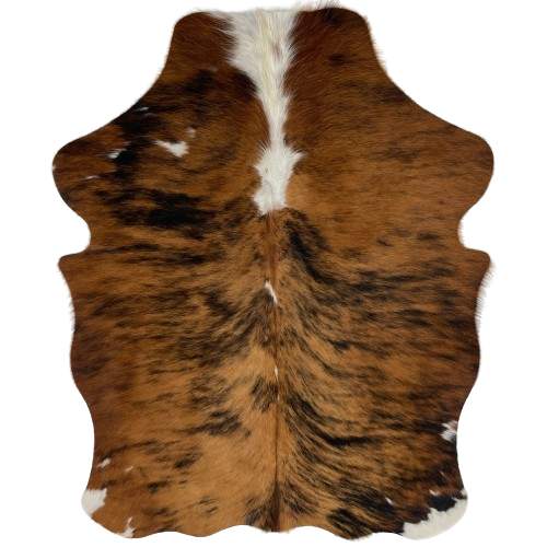 XS Tricolor Cowhide:  has a brown and black, brindle pattern, with a few small, white spots, and white down the middle of the neck and shoulder - 4'5" x 3'4" (XS324)