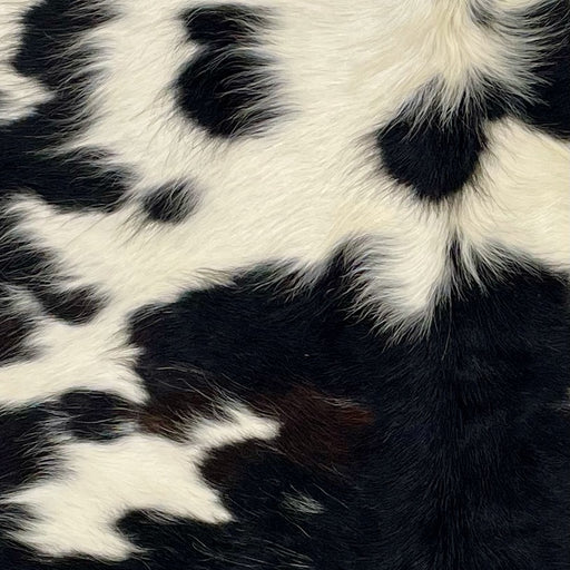 Closeup of this XS Cowhide, showing black, with a few small, white spots, on the bottom half of the hide, and white, with black spots on the top half (XS332)