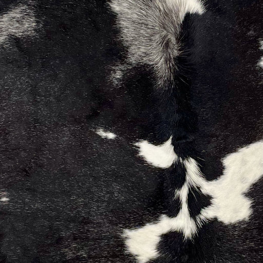 Closeup of this XS Speckled Cowhide, showing black, with fine, white speckles, and a few white spots (XS344)