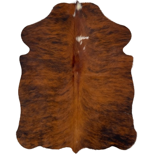 XS Reddish Brown and Black Brindle Cowhide:  reddish brown and black, with a few small, white spots along the spine on the top half of the hide - 4'5" x 3'5" (XS365)
