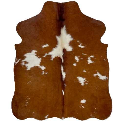XS Reddish Brown and White Cowhide:  reddish cbrown with large and small, white spots - 4'5" x 3'5" (XS386)