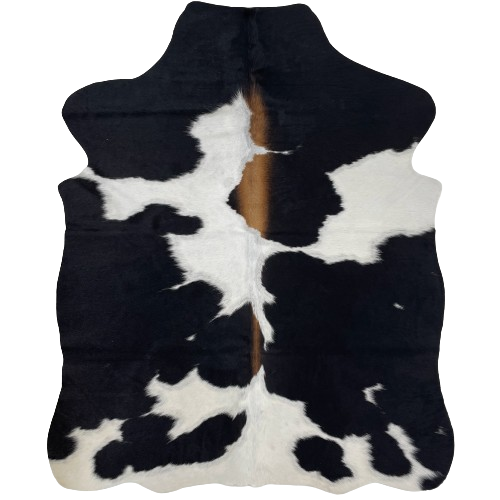 XS Black and White Cowhide: white with large, black spots, and brown down part of the spine - 4'4" x 3'5" (XS399)