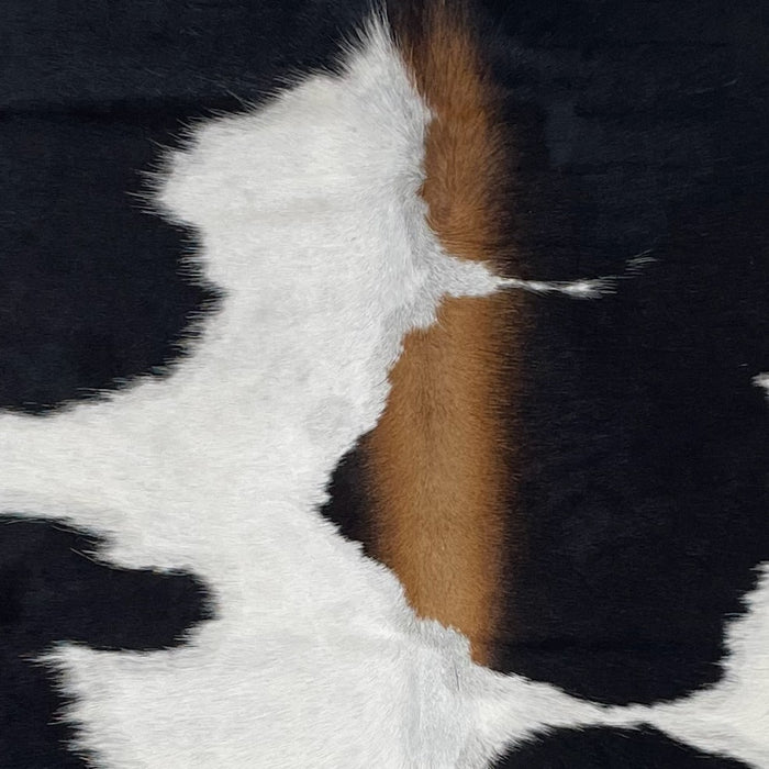 Closeup of this XS Black and White Cowhide, showing white with large, black spots, and brown down part of the spine (XS399)