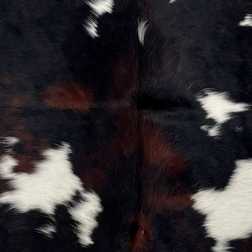 Closeup of this XS Dark Tricolor Cowhide, showing black with dark brown spots, and large and small white spots (XS471)