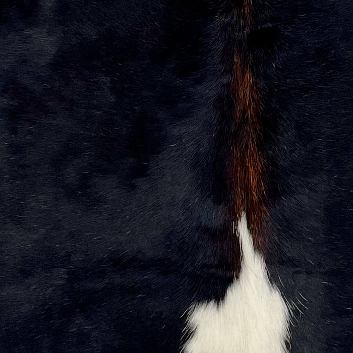 Closeup of this XS Cowhide, showing black with a white down the middle, and dark brown down part of the spine (XS491)