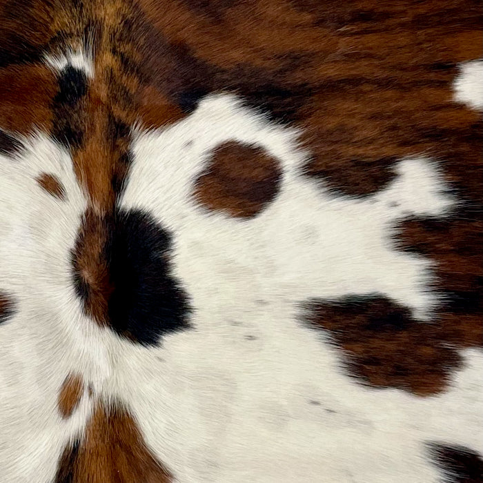 Closeup of this XS Tricolor Cowhide, showing ivory with a few black speckles, some faint, cloudy speckles, and large and small spots that have a brown and black, brindle pattern (XS492)