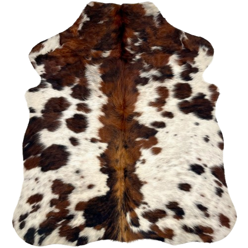 XS Tricolor Speckled Cowhide: has long hair that is ivory with brown and black speckles, and large and small spots that have a mix of reddish brown and black, and it has a mix of reddish brown and black down the middle - 4'5" x 3'5" (XS494)