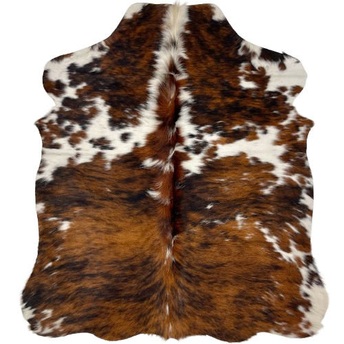 XS Tricolor Cowhide: has a brown and black, brindle pattern, and some white spots that have brown and black spots, and it has long hair down the spine - 4'5" x 3'7" (XS497)