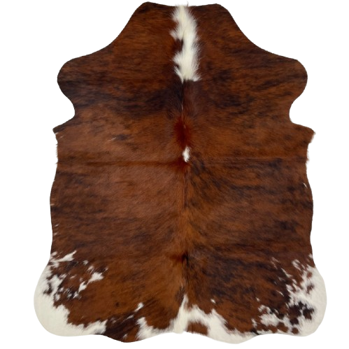 XS Tricolor Cowhide: has a red brown and black, brindle pattern with white spots on the hind shanks and butt, and long white hair down part of the spine - 4'5" x 3'5" (XS499)