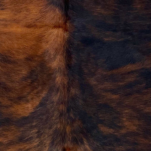 Closeup of this XS Brindle Cowhide, showing black with reddish brown, brindle markings (XS503)