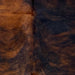 Closeup of this XS Brindle Cowhide, showing black with reddish brown, brindle markings (XS503)