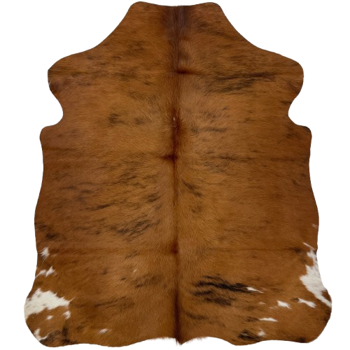 XS Brown and Black Brindle Cowhide: brown with black, brindle markings, and small, white spots on the hind shanks - 4'4" x 3'5" (XS508)