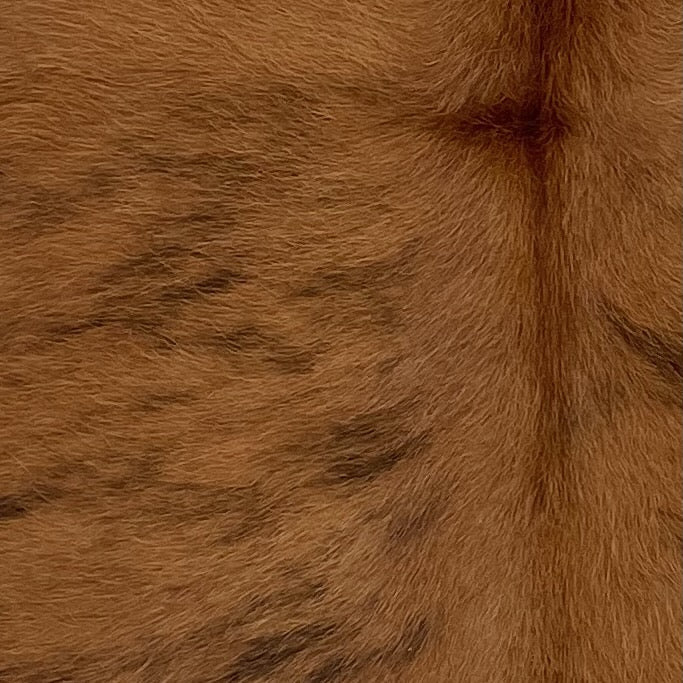 Closeup of this XS Brindle Cowhide, showing brown with black, brindle markings  (XS508)