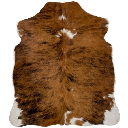 XS Tricolor Cowhide: has a brown and black, brindle pattern, and a few small, white spots down the middle and on the shanks and butt - 4'5" x 3'5" (XS518)