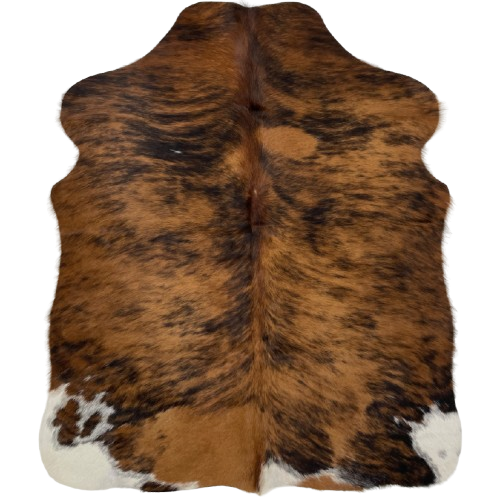 XS Brown and Black Brindle Cowhide: brown with black, brindle markings, and it has some white spots on the hind shanks and butt - 4'5" x 3'7" (XS519)