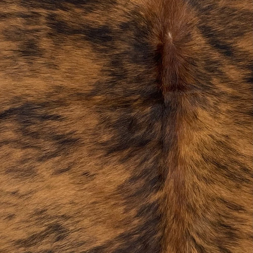 Closeup of this XS Brindle Cowhide, showing brown with black, brindle markings  (XS519)