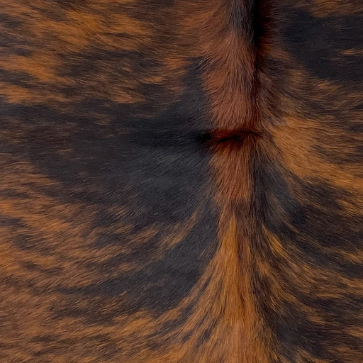 Closeup of this Brindle Cowhide, showing brown with black, brindle markings  (XS520)