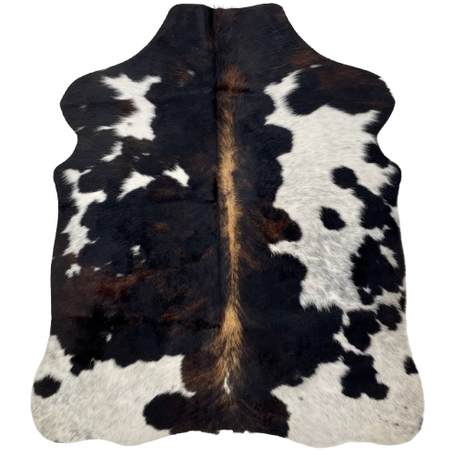 XS Tricolor Cowhide: has a mix of black and brown, and white spots that have black speckles and spots, and brown down the spine - 4'4" x 3'5" (XS526)