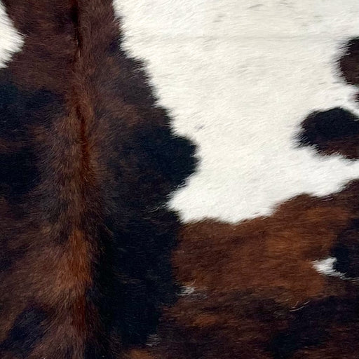 Closeup of this XS Tricolor Cowhide, showing a black and brown, brindle pattern, a few small white spots, and a large white spot that has faint, black speckles (XS528)