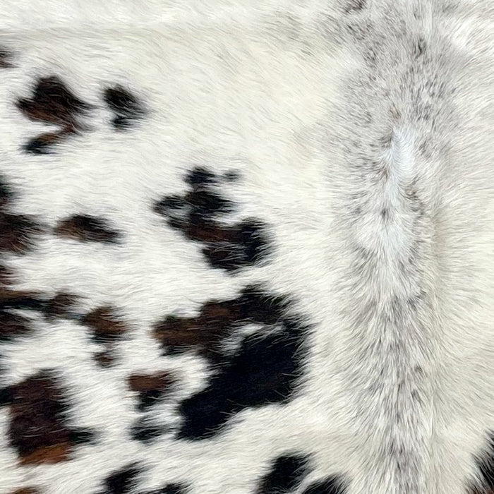 Closeup of this XS Tricolor Cowhide, showing off-white with spots that have a mix of black and dark brown, and small, faint, brown and black spots down the middle (XS529)