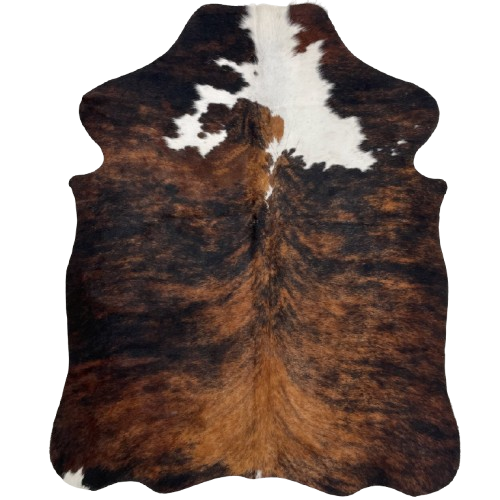 XS Tricolor Cowhide: has a black and brown, brindle pattern, with white spots on the shoulder - 4'4" x 3'4" (XS531)