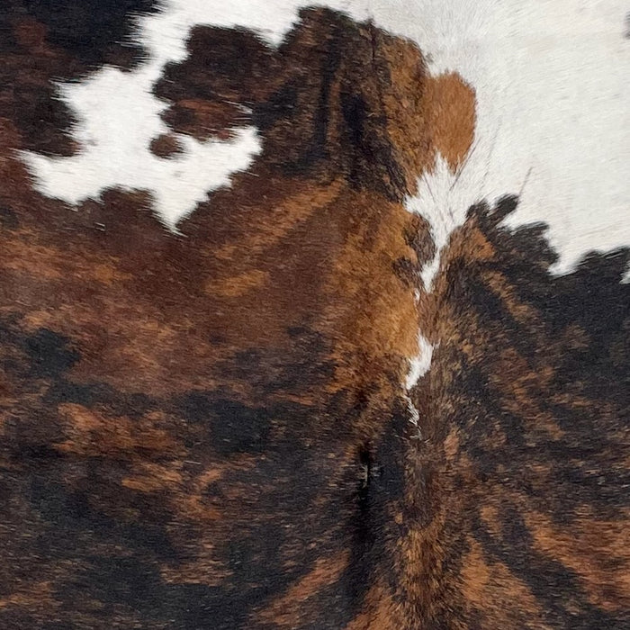 Closeup of this XS Tricolor Cowhide, showing a black and brown, brindle pattern, with white spots on the shoulder (XS531)