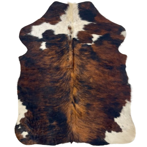XS Tricolor Cowhide: has a black and brown, brindle pattern, and off-white spots, with black speckles, on the shoulder and hind shanks - 4'5" x 3'4" (XS536)