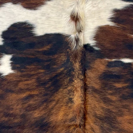 Closeup of this XS Tricolor Cowhide, showing a black and brown, brindle pattern, and off-white spots, with black speckles, on the shoulder (XS536)