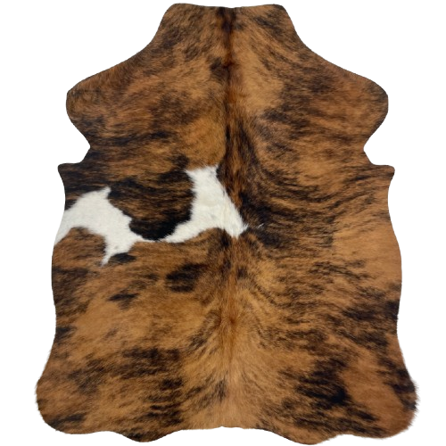 XS Tricolor Cowhide: has a brown and black, brindle pattern and two white spots on the left side of the back - 4'4" x 3'4" (XS537)