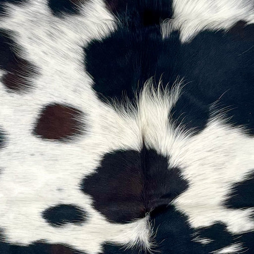 Closeup of this XS Black and White Speckled Cowhide, showing white with black speckles and spots, and a one very dark brown spot (XS538)