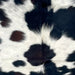 Closeup of this XS Black and White Speckled Cowhide, showing white with black speckles and spots, and a one very dark brown spot (XS538)