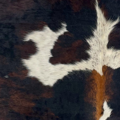 Closeup of this XS Dark Tricolor Cowhide:, showing a mix of black and dark reddish brown, a few small white spots with black speckles, and reddish brown down part of the spine (XS541)