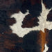 Closeup of this XS Dark Tricolor Cowhide:, showing a mix of black and dark reddish brown, a few small white spots with black speckles, and reddish brown down part of the spine (XS541)