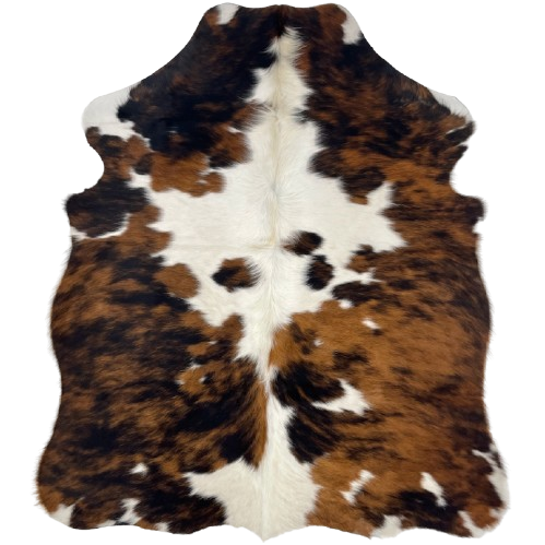 XS Tricolor Cowhide: has a brown and black, brindle pattern, with white in the middle, and off-white, longer hair down the spine - 4'5" x 3'6" (XS543)