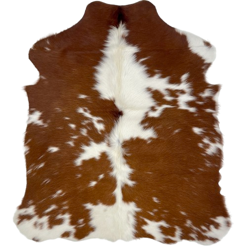 XS Reddish Brown and White Cowhide: reddish brown with small and large, white spots, and longer hair down the spine - 4'5" x 3'6" (XS544)