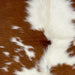 Closeup of this XS Cowhide, showing reddish brown with small and large, white spots, and longer hair down the spine  (XS544)