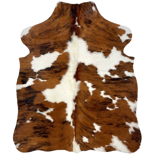 XS Tricolor Cowhide: has a brown and black, brindle pattern and large and small, white spots - 4'4" x 3'4" (XS545)