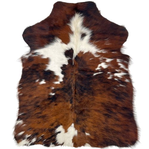 XS Tricolor Cowhide: has a reddish brown and black, brindle pattern with large and small, white spots, and longer hair down the middle of the shoulder - 4'5" x 3'3" (XS547)