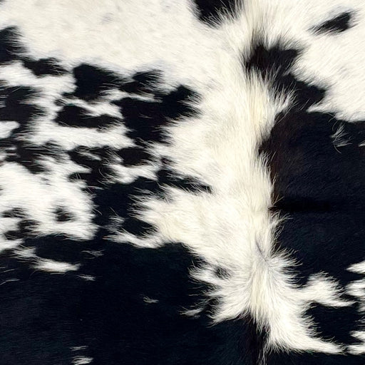 Closeup of this XS Speckled Cowhide, showing white with small and large, black spots, and faint cloudy speckles (XS549)