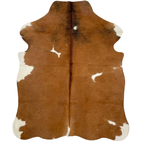 XS Brown and White Cowhide: brown with a few small, white spots, some black speckles on the shoulder, and dark reddish brown down the spine - 4'4" x 3'4" (XS550)