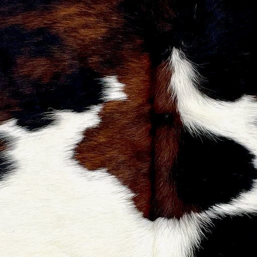 Closeup of this XS Tricolor Cowhide, showing white with large and small spots that have a mix of black and brown (XS551)