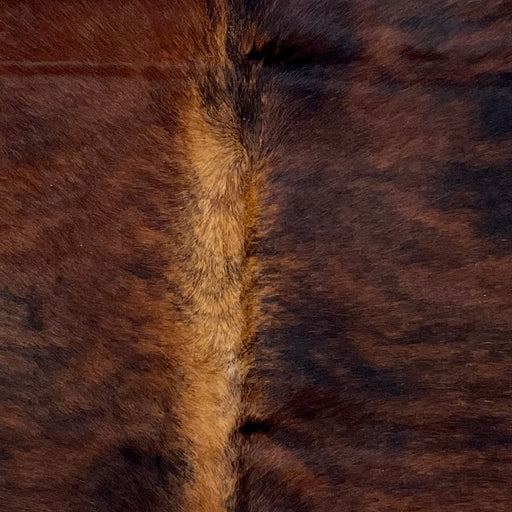Closeup of this XS Brindle Cowhide, showing reddish brown with black, brindle markings, and lighter brown down part of the spine (XS556)