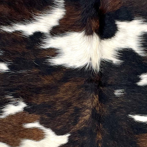 Closeup of this XS Tricolor Cowhide, showing white with large and small spots that have a black and brown, brindle pattern (XS568)