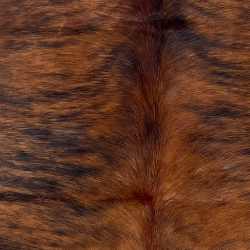 Closeup of this XS Brindle Cowhide, showing reddish brown with black, brindle markings (XS573)