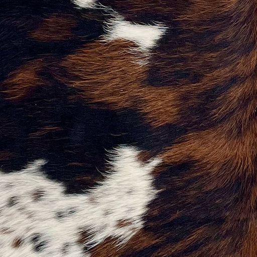 Closeup of this XS Tricolor Cowhide, showing a black and reddish brown, brindle pattern, and large and small, white spots, the larger ones having black and reddish brown spots  (XS580)